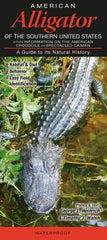 American Alligator