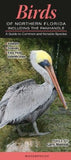 Birds of North Florida & Panhandle