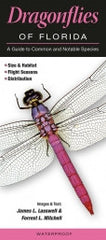 Dragonflies of Florida