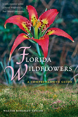 Florida Wildflowers: A Comprehensive Guide