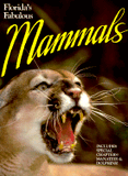 Florida's Fabulous Mammals