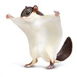 Flying Squirrel