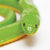 Rough Green Snake