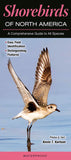 Shorebirds of North America