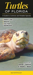 Turtles of Florida
