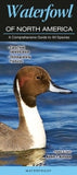 Waterfowl of North America: A Comprehensive Guide to All Species