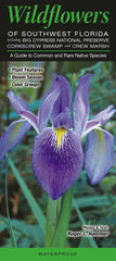 Wildflowers of Southwest Florida