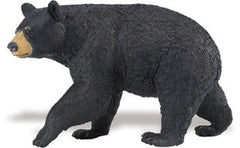 Black Bear