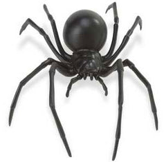 Black Widow Spider