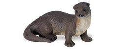 River Otter