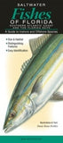 Saltwater Fishes of Florida: Southern Atlantic Coast and the Florida Keys