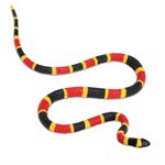 Coral Snake - Small